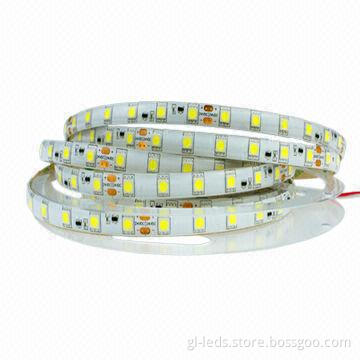 24V DC/60W/300pcs SMD 5050 Waterproof LED Strip